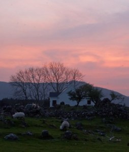 sunset with sheep-troop strength